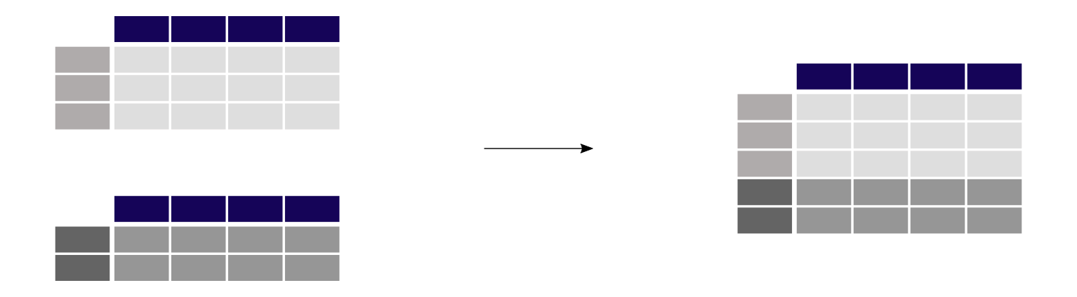 No description has been provided for this image